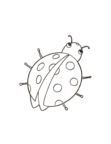 Little Ladybird Coloring Page